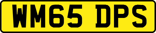 WM65DPS