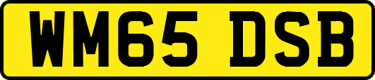 WM65DSB