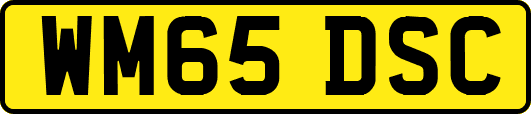 WM65DSC