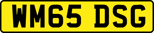 WM65DSG