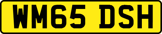 WM65DSH