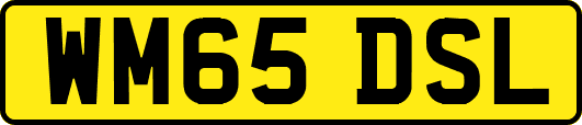 WM65DSL
