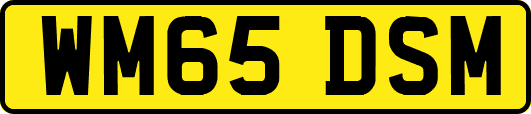 WM65DSM