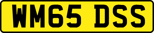 WM65DSS