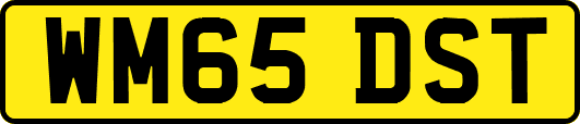 WM65DST
