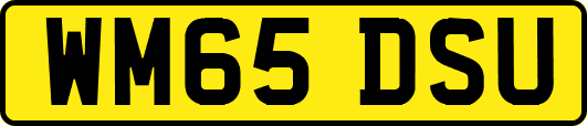 WM65DSU