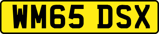 WM65DSX
