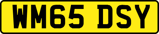 WM65DSY