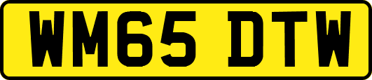 WM65DTW