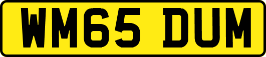 WM65DUM