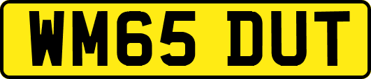 WM65DUT