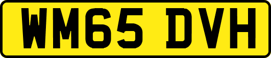 WM65DVH