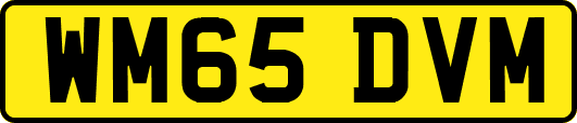 WM65DVM