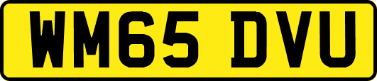 WM65DVU
