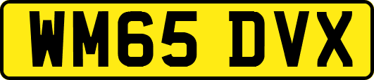 WM65DVX