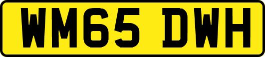 WM65DWH