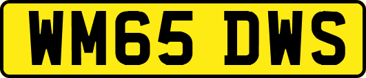 WM65DWS