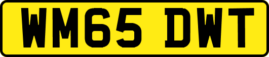 WM65DWT