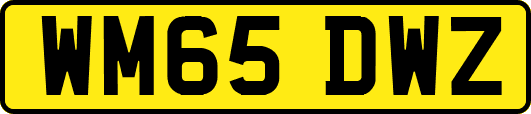 WM65DWZ