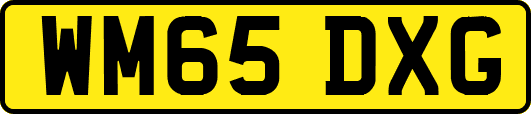 WM65DXG