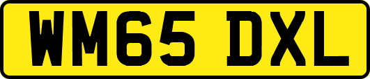 WM65DXL