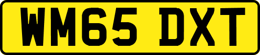 WM65DXT