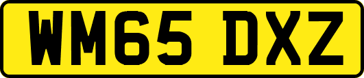 WM65DXZ