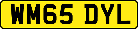 WM65DYL