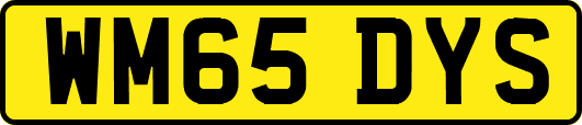 WM65DYS
