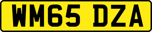 WM65DZA