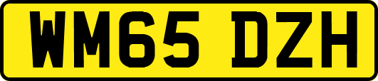 WM65DZH