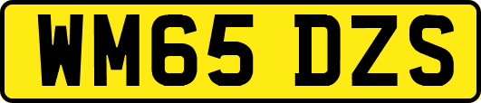 WM65DZS