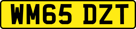 WM65DZT
