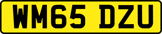 WM65DZU