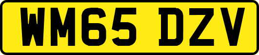 WM65DZV