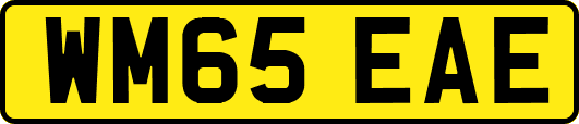 WM65EAE