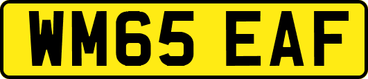 WM65EAF
