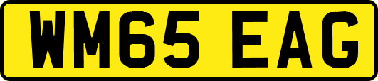 WM65EAG