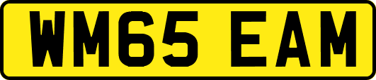 WM65EAM