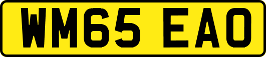 WM65EAO