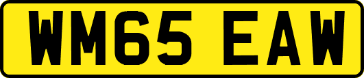 WM65EAW