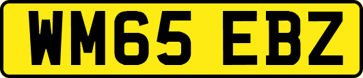 WM65EBZ