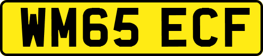 WM65ECF