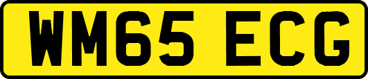 WM65ECG