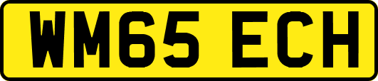 WM65ECH