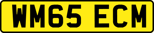 WM65ECM
