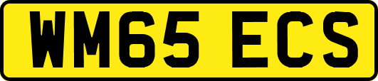 WM65ECS