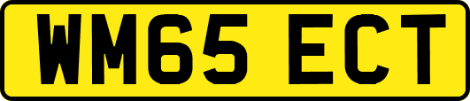 WM65ECT