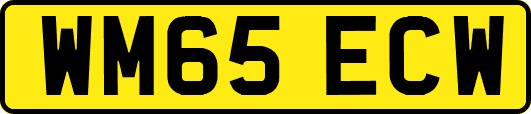 WM65ECW