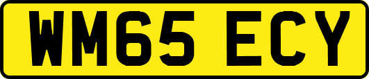 WM65ECY